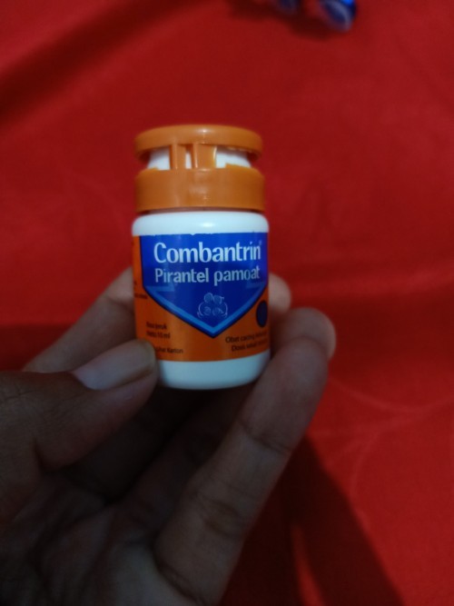 Obat cacing anak usia 3 tahun