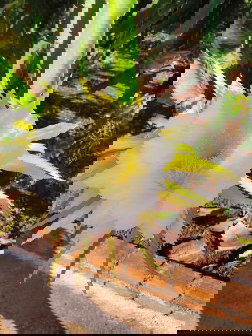 Bâng khuâng đứng giữa 2 dòng, chọn một dòng hay để nước cuốn trôi.