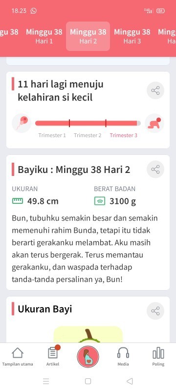 Menunggu kelahiran baby