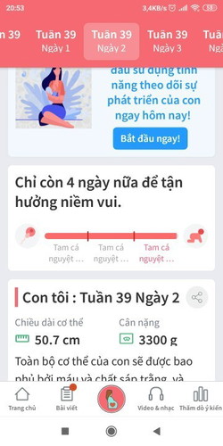 Hóng zai quá