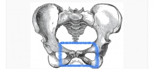 สอบถามหน่อยคะ