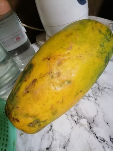 Pagkain ng papaya bawal ba sa buntis?