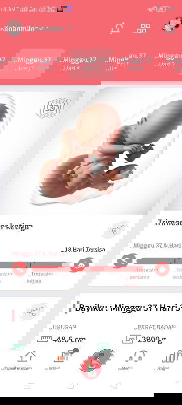 Menunggu sinyal cinta dari debay.