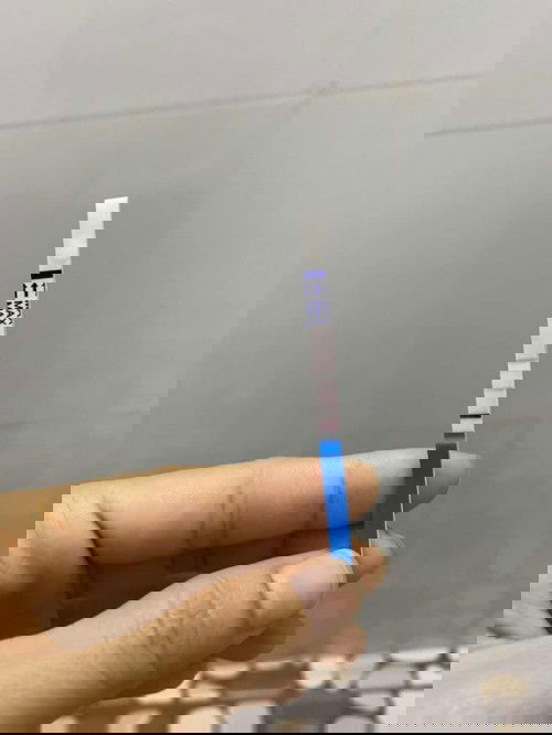 Như vậy đã có thai chưa nhi?