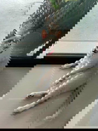 Bé bú 1 bên ngực nên ngực to nhỏ
Khi bé cai sữa thì ngực có trở Bình thường kh