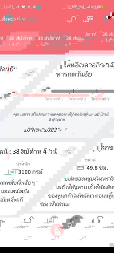 เมื่อไรจะออกน้าา