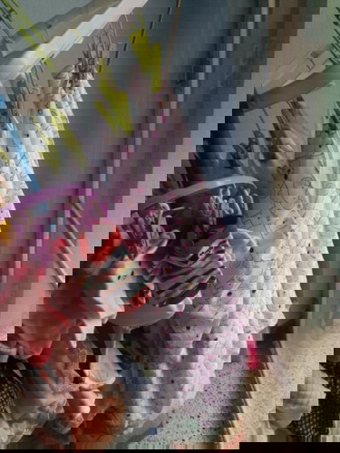 35w 6d กำหนดคลอด 7 มิ.ย นี้ ลุ้นอยู่ว่าจะตลอดก่อน หรือหลัง ส่วนใหญ่แม่ๆก่อนหรือหลังที่หมอกำหนดค่ะ