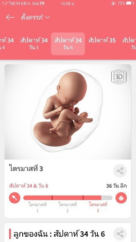 ทีมมิ.ยเหลืออีกกี่วันคลอดบ้างคะ