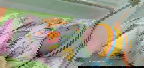 alhamdulillah lounching