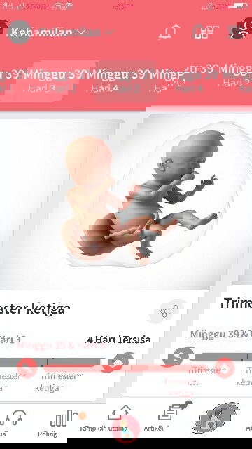 Mau ngumpulin hpl 16 mei