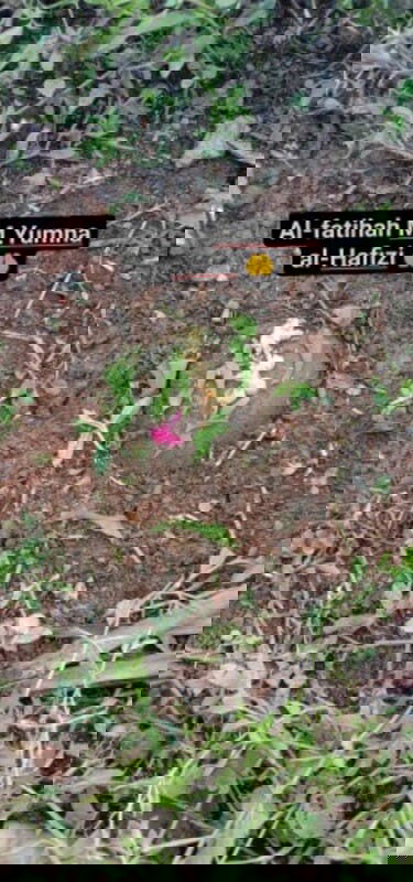 anak pertama kami adalah anak syurga