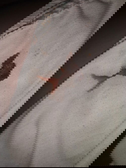 40weeks &5dys discharge