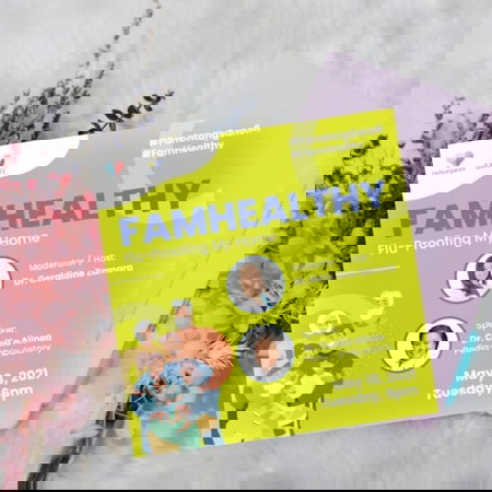 Flu-Proofing my Home