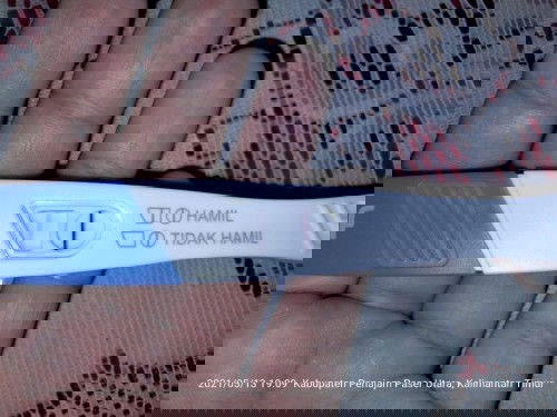 Tolong bantu jawab ya bun?