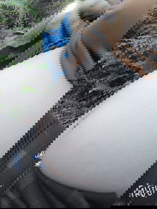 bụng em như vậy tụt chưa các m,em được 31w rồi ạ