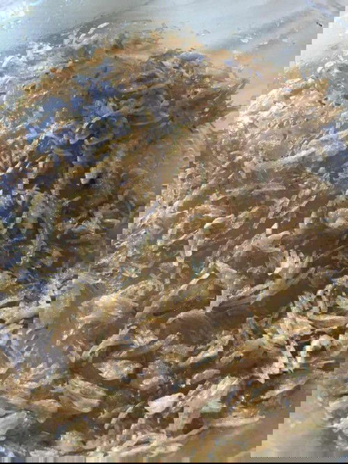 Nyemil bawang goreng