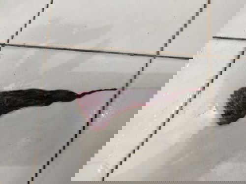 Takda Rezeki, 1 Syawal perginya tak kembali