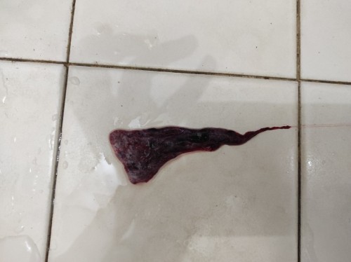 Takda Rezeki, 1 Syawal perginya tak kembali