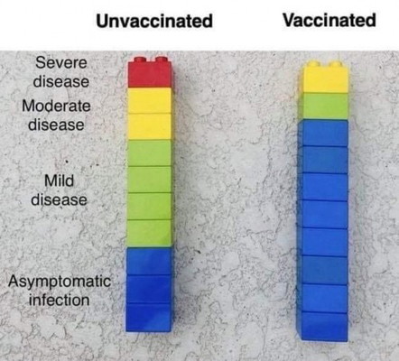 Easy Explanation About Vaccine