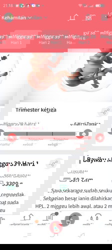 Menunggu gelombang cinta