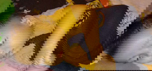 ลูกๆติดอะไรบ้างค่ะ