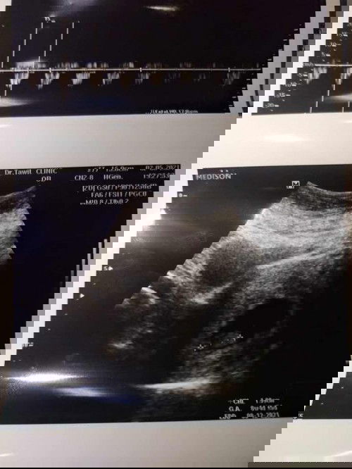 ทีมเดือนธันวาจ้า❤️