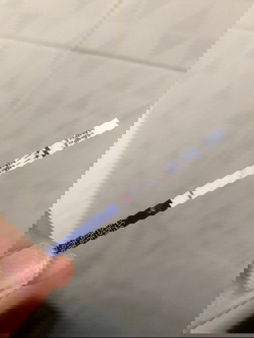 การตรวจการตั้งครรภ์