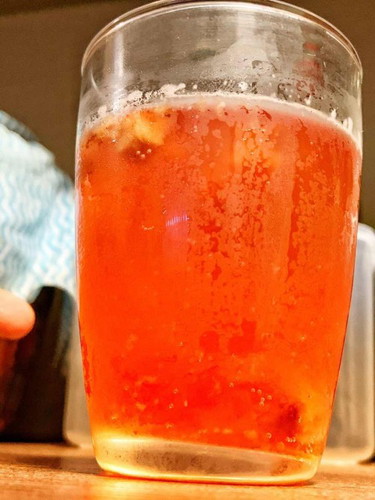 Kombucha time