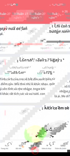 Càng lớn càng khó đêm lại là đấmđá mẹ nào có cách j để ngủ được buổi tối k ạ 🤦