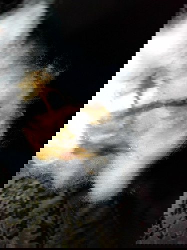 4 months pregnant may infection, nag gamot na ko pero may discharge pa din ako😔