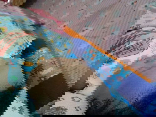 Bayi asi usia 3 bulan belum pup/bab 2 minggu