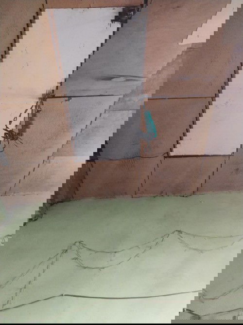 Permisi bunda.
Saya mau bertanya, kapan ya usia yg tepat untk meletakkan anak di ayunan?