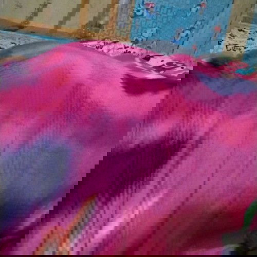 Tebak tebak jenis kelamin