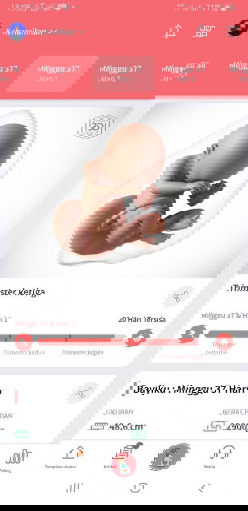 Usia kandungan 37 week