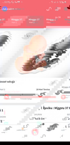 Usia kandungan 37 week