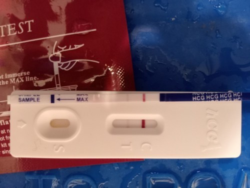 Pregnant atau tidak?