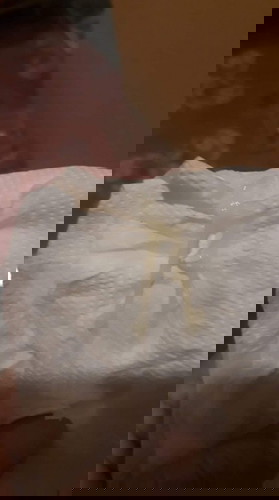 ขอถามผู้มีประสบการณ์ค่ะ