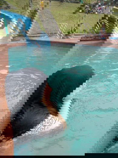 Berenang air panas lagi hamil