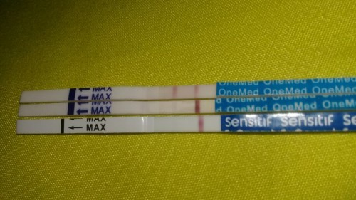 Ceritanya aku telat haid udah 5mingguan gitu. Setelah tespek muncul 2 garis samar