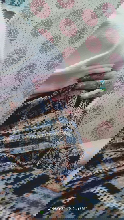 Bertanya tntang kahmilan