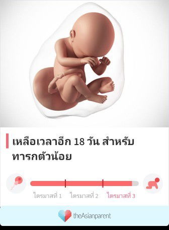 อีกไม่กี่วันก็จะเจอลูกแล้วคะ
แม่ท้องคนไหนพร้อมคลอดกันยังคะ