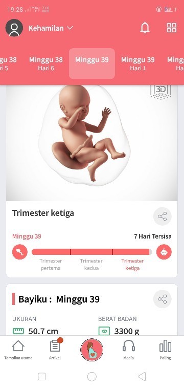 Penantian anak pertama