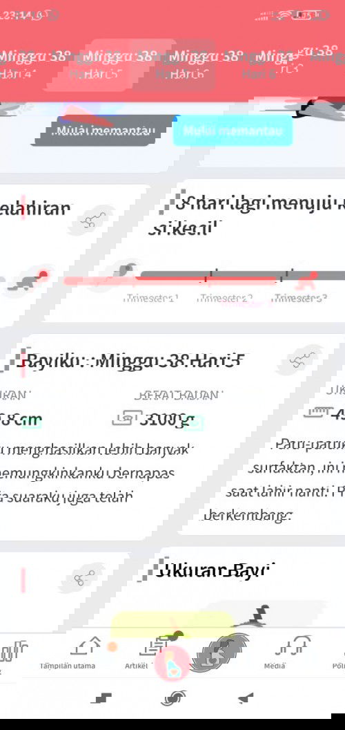 belum ada tanda lahiran