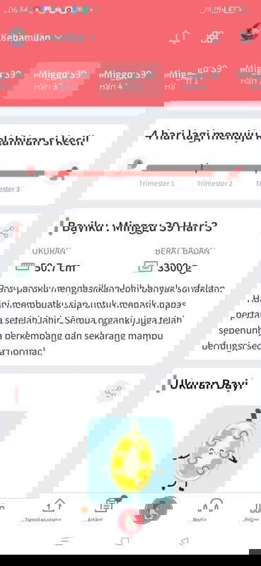 39 weks 3 hari Menuju HPL