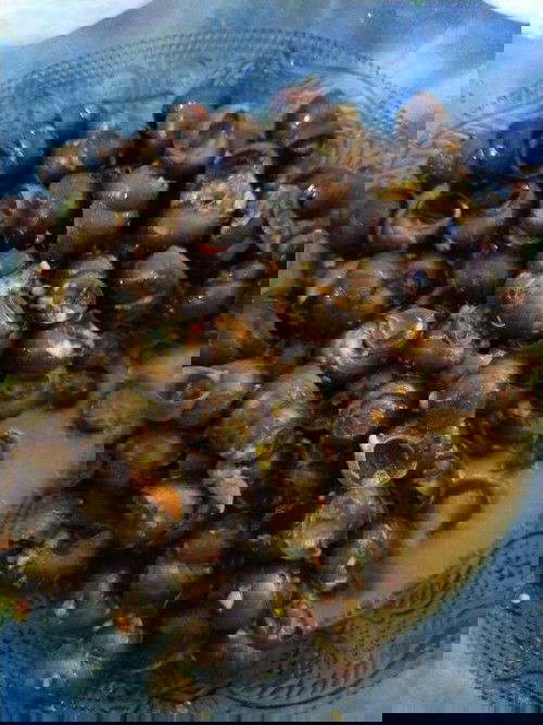 makan tutut selama hamil