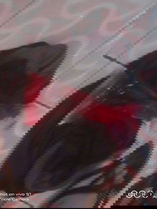 Bantu jawab donk. Brangkali ada yg sdah ngalamin.  Saya lg masa nifas 10 hari.  Tba* tdi pagi keluar