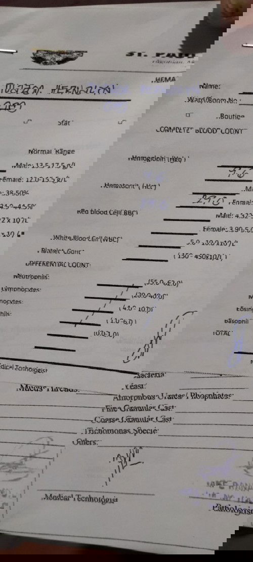 Blender 1 saging lakatan and 3pcs leaf of camote tops(red)