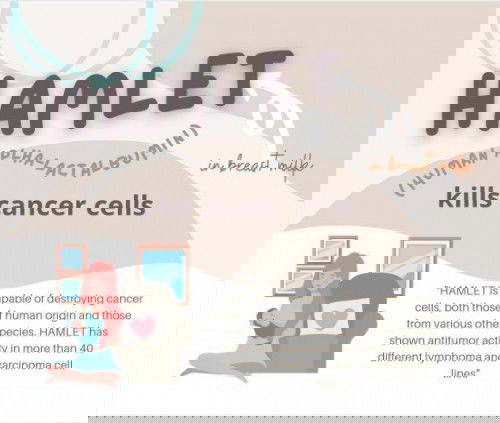 Pernah dengar berkenaan HAMLET?