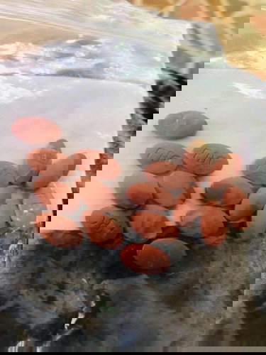 ตอนนี้แม่ท้อง 19 week