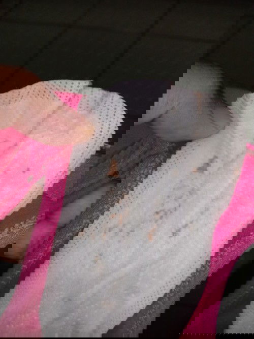 Tanda awal kelahiran